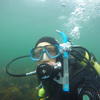 Picture taken during the dive