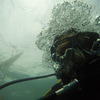 Picture taken during the dive