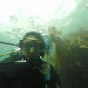 Picture taken during the dive