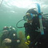 Picture taken during the dive