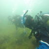 Picture taken during the dive
