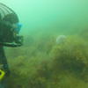 Picture taken during the dive