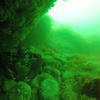 Picture taken during the dive