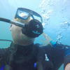 Picture taken during the dive