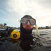 Picture taken during the dive
