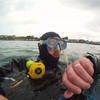 Picture taken during the dive