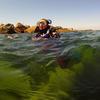 Picture taken during the dive