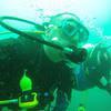 Picture taken during the dive