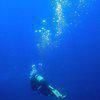 Picture taken during the dive