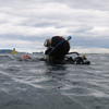 Picture taken during the dive