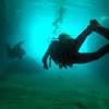 Picture taken during the dive