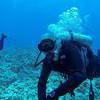 Picture taken during the dive