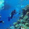 Picture taken during the dive