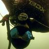 Picture taken during the dive