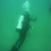 Picture taken during the dive