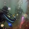 Picture taken during the dive