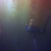 Picture taken during the dive