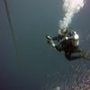 Picture taken during the dive