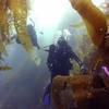 Picture taken during the dive