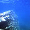 Picture taken during the dive