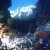 Picture taken during the dive