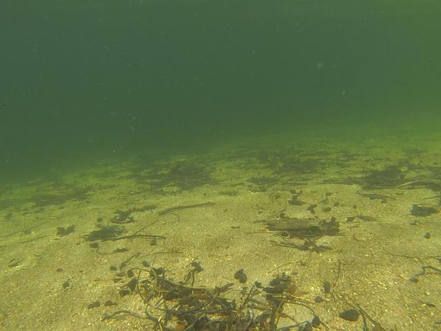 Linköpings Dykcenter - Dive Center in 瑞典