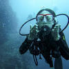 Picture taken during the dive