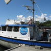 Picture taken during the dive