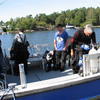 Picture taken during the dive