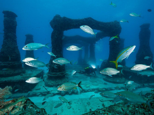 Diving in Key Largo, United States - By Jimb