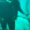 Picture taken during the dive
