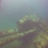 Picture taken during the dive