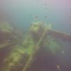 Picture taken during the dive