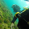 Picture taken during the dive