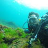 Picture taken during the dive