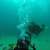 Picture taken during the dive
