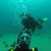Picture taken during the dive