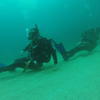 Picture taken during the dive