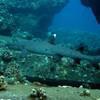 Picture taken during the dive