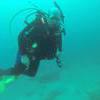 Picture taken during the dive