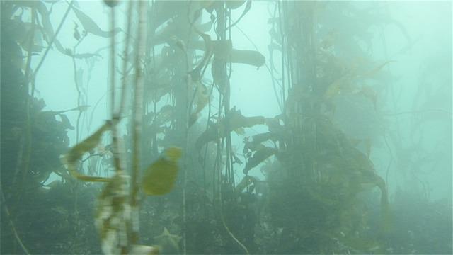 Diver Dan's, Inc. - Dive Center in United States