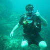 Picture taken during the dive