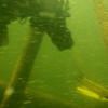 Picture taken during the dive