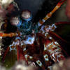Picture taken during the dive