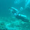 Picture taken during the dive