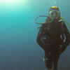 Picture taken during the dive