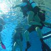 Picture taken during the dive