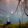 Picture taken during the dive