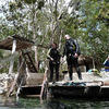 Picture taken during the dive