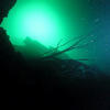 Picture taken during the dive